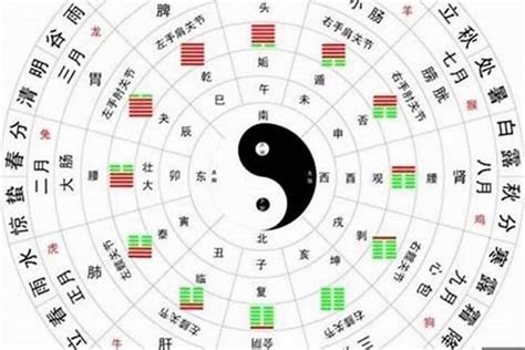 八字木旺|八字木旺的人，会有哪些上佳的八字格局